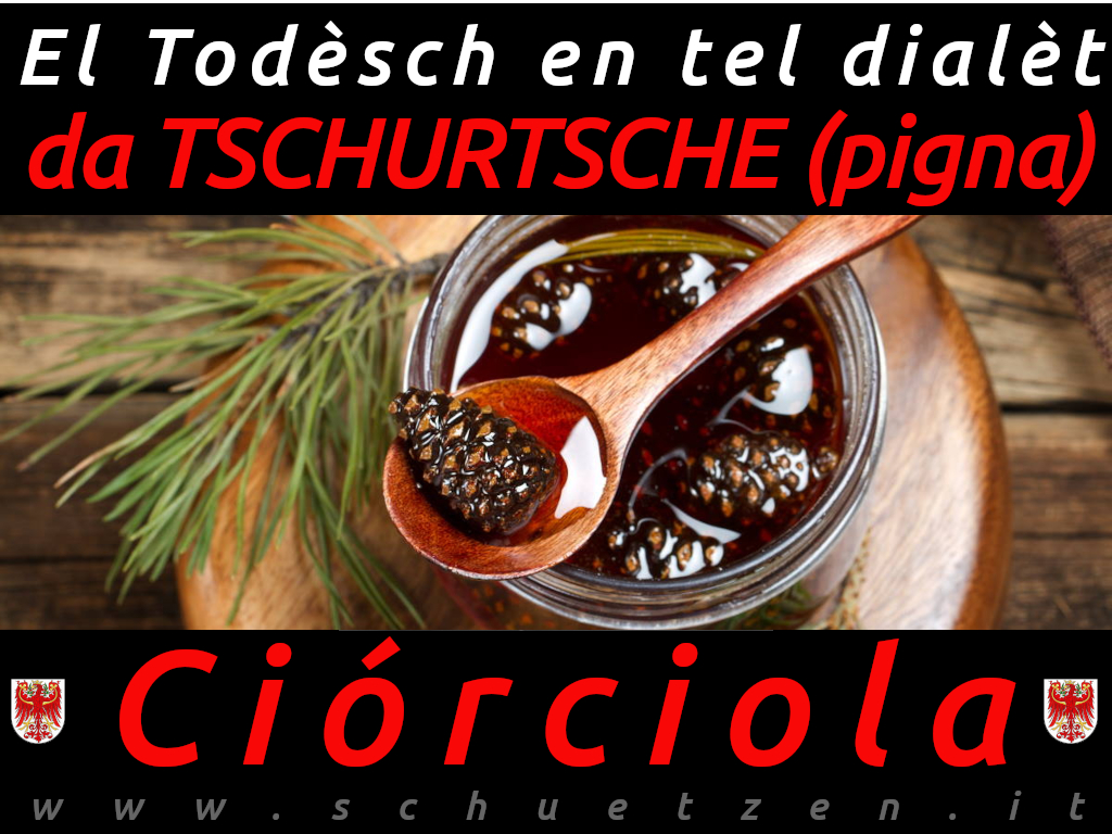 Ciórciola