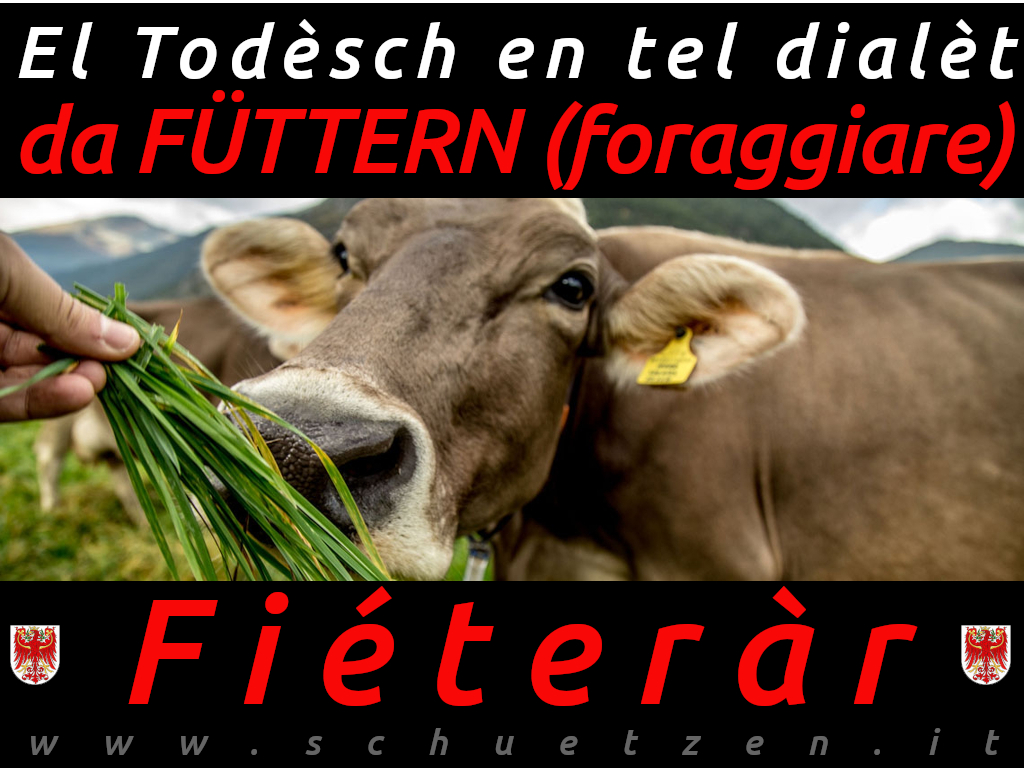 Fiéteràr
