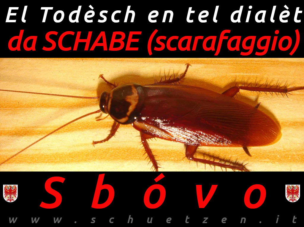 Sbóvo
