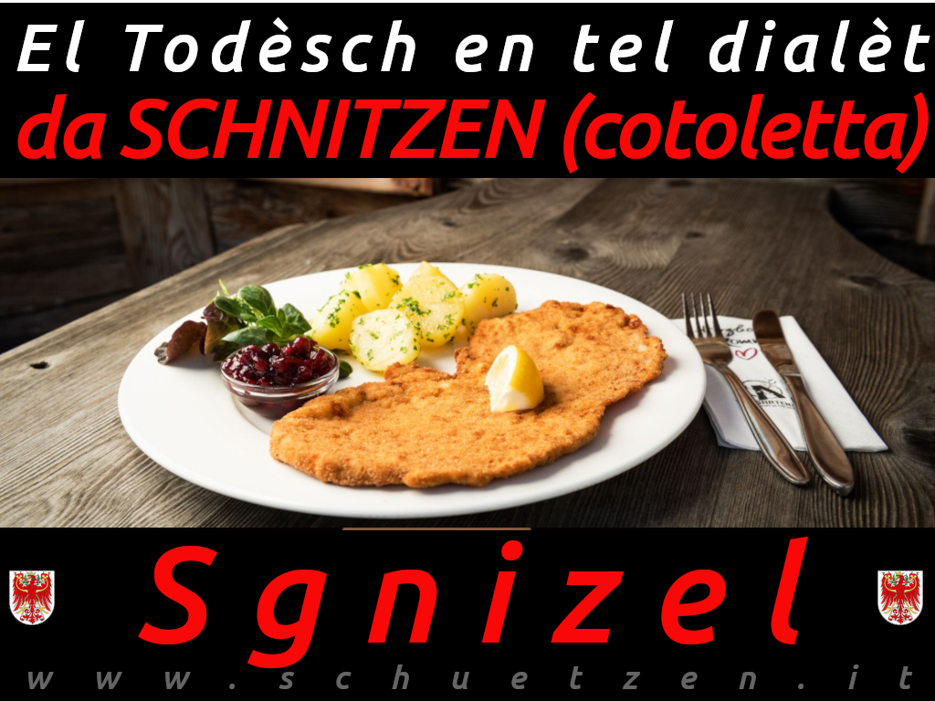 Sgnizel