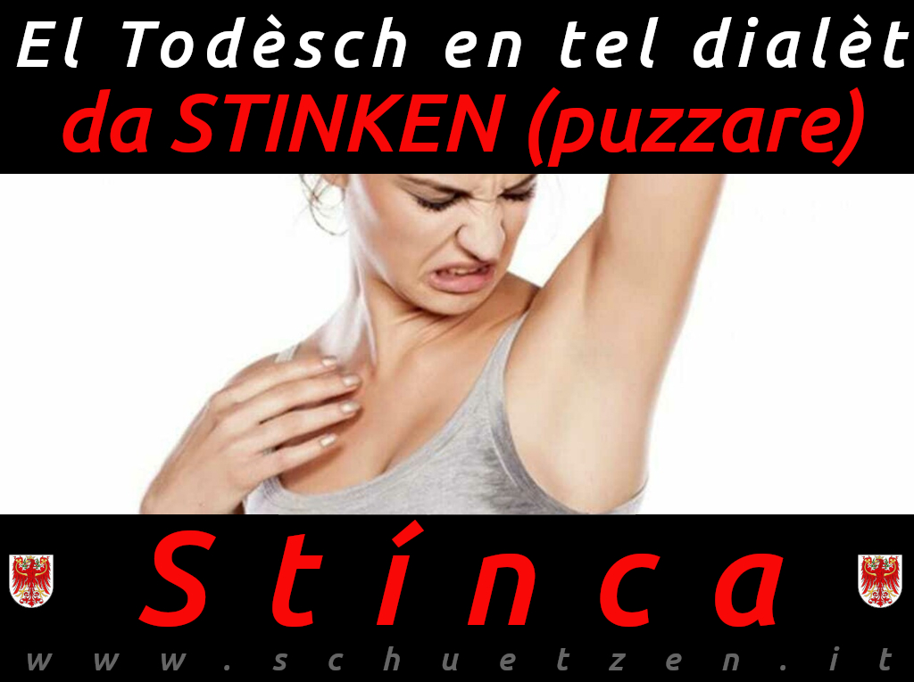 Stínca