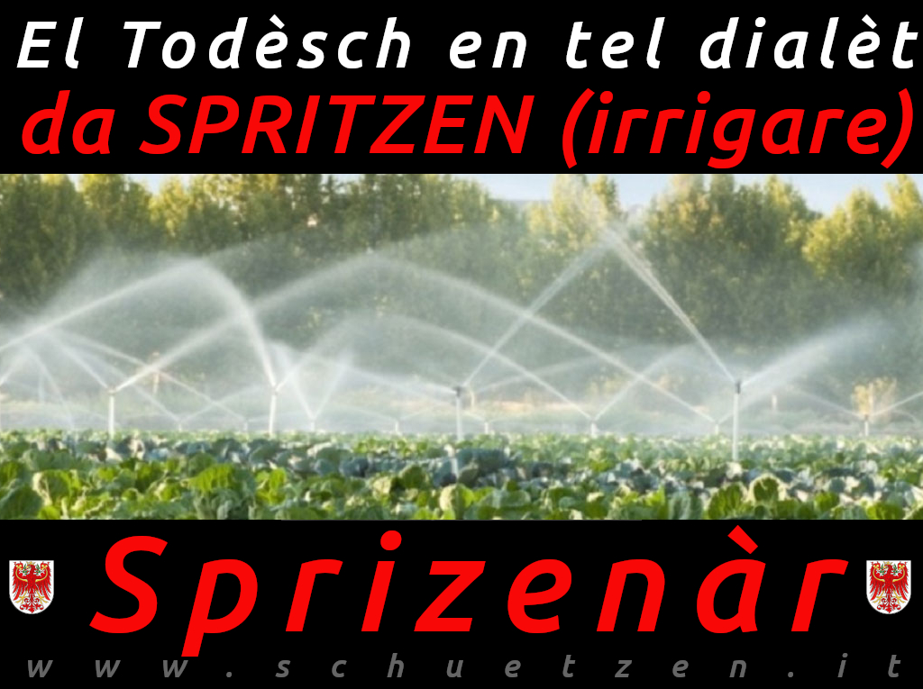 Speizenàr