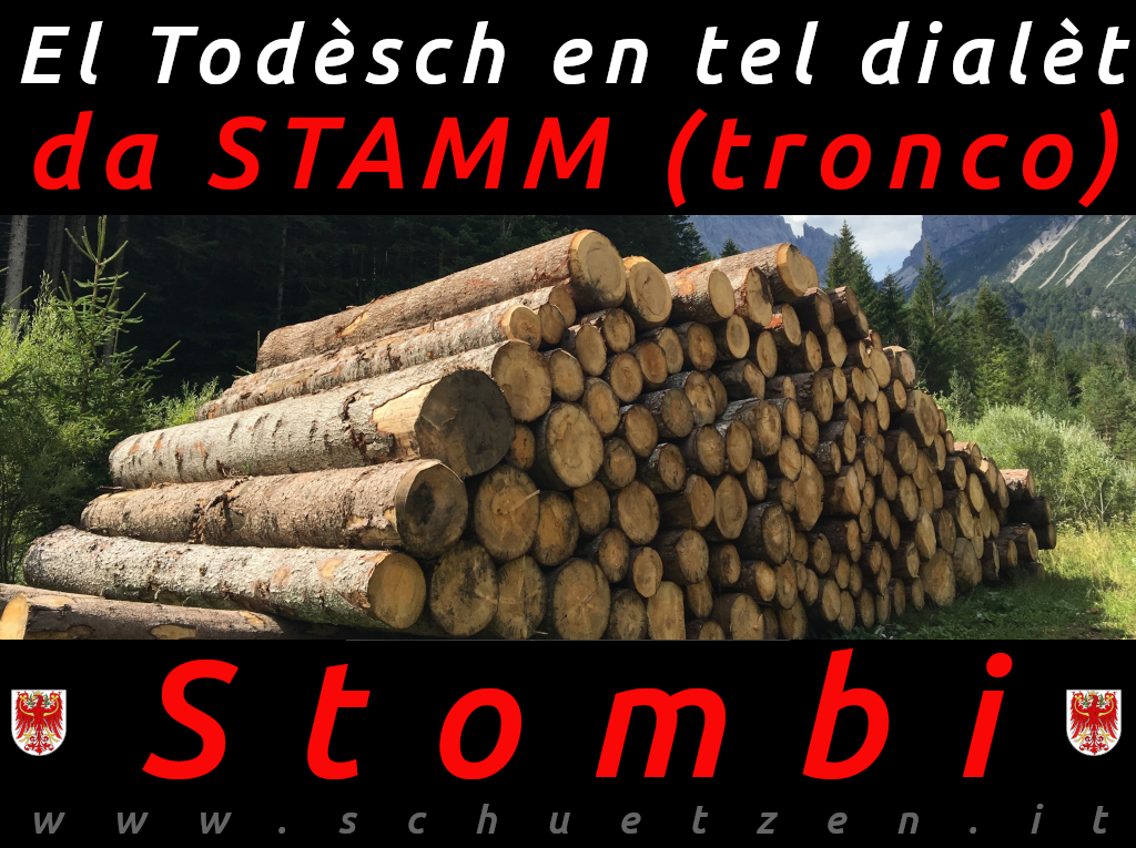 Strombi