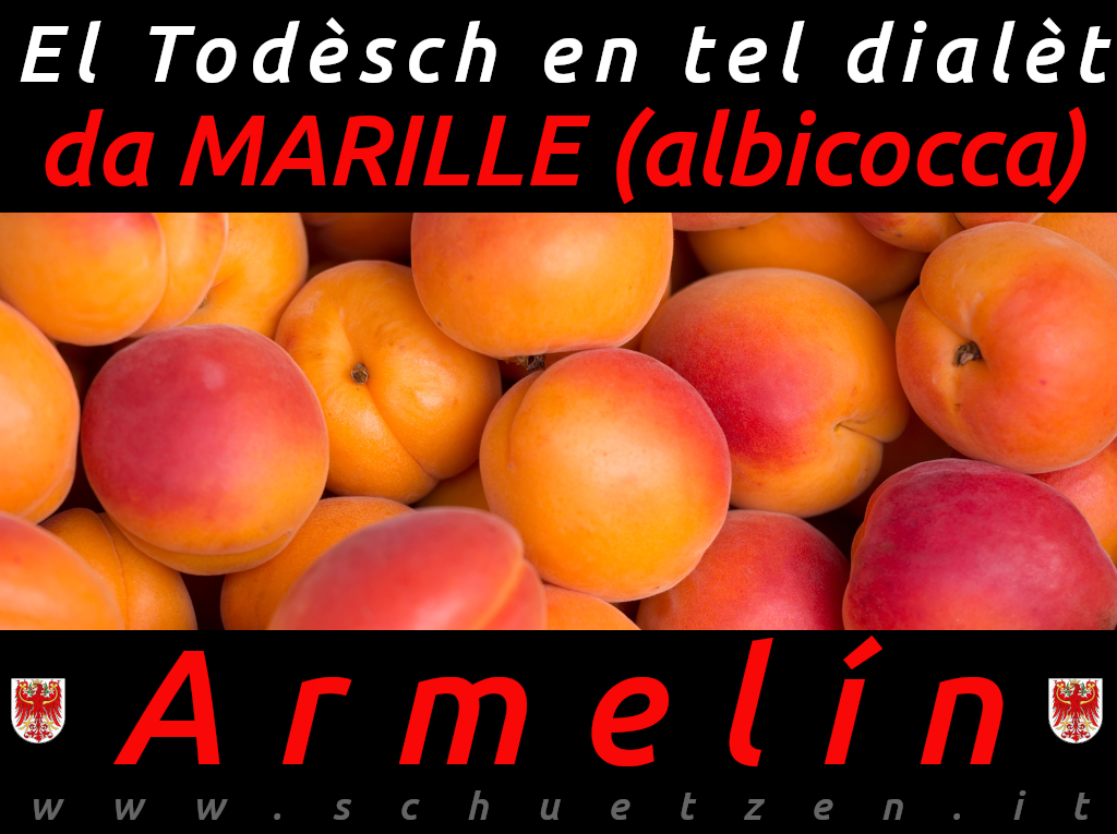 Armelín