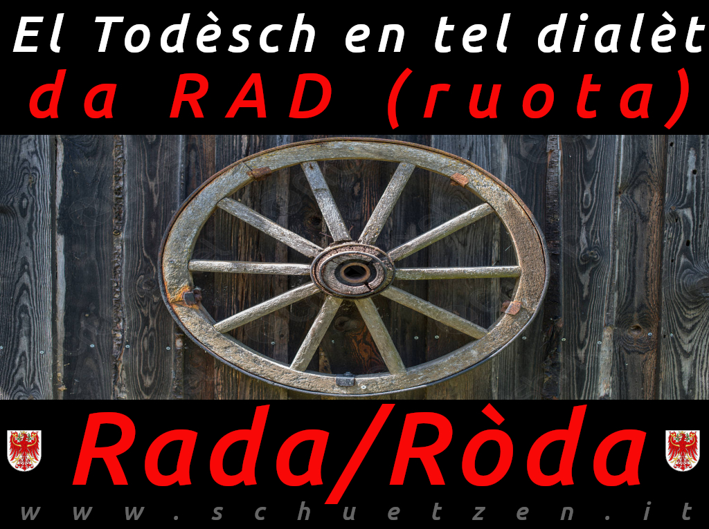 Ráda/róda