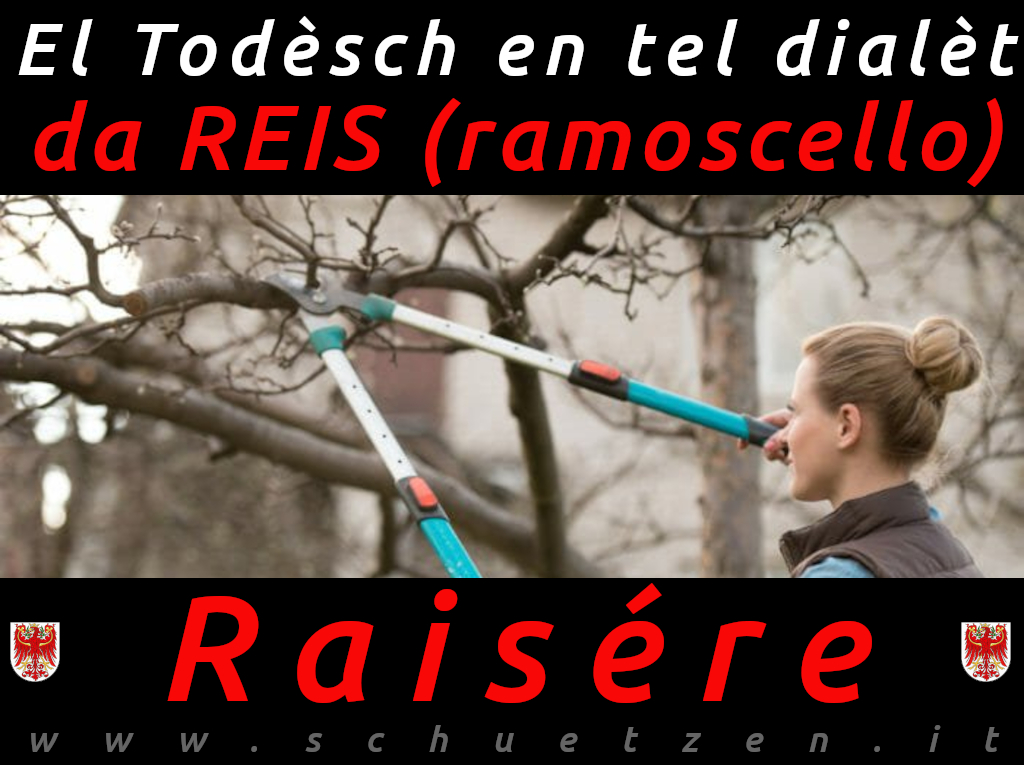Raisére