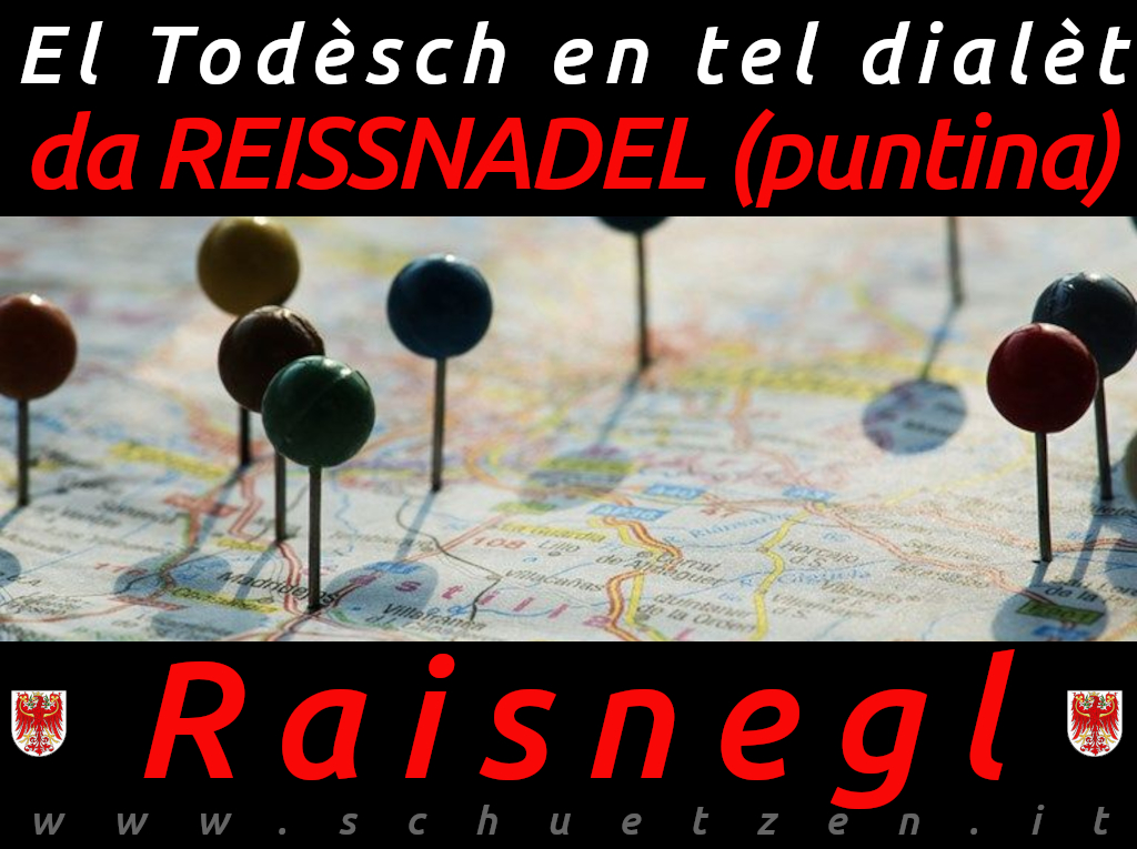 Raisnegl