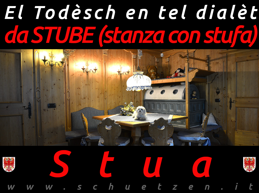 Stua