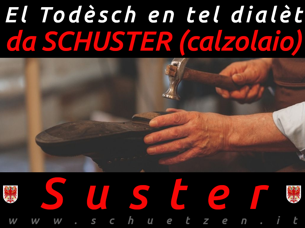 Suster