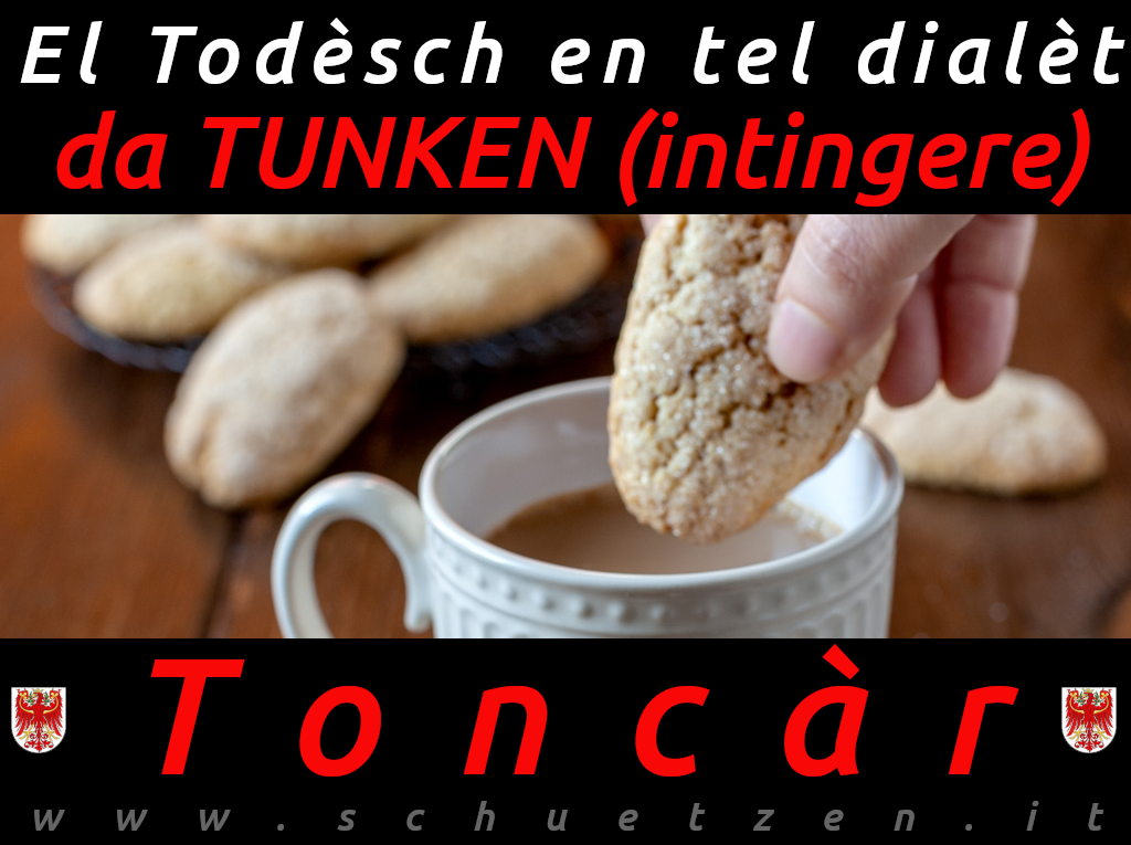 Toncar