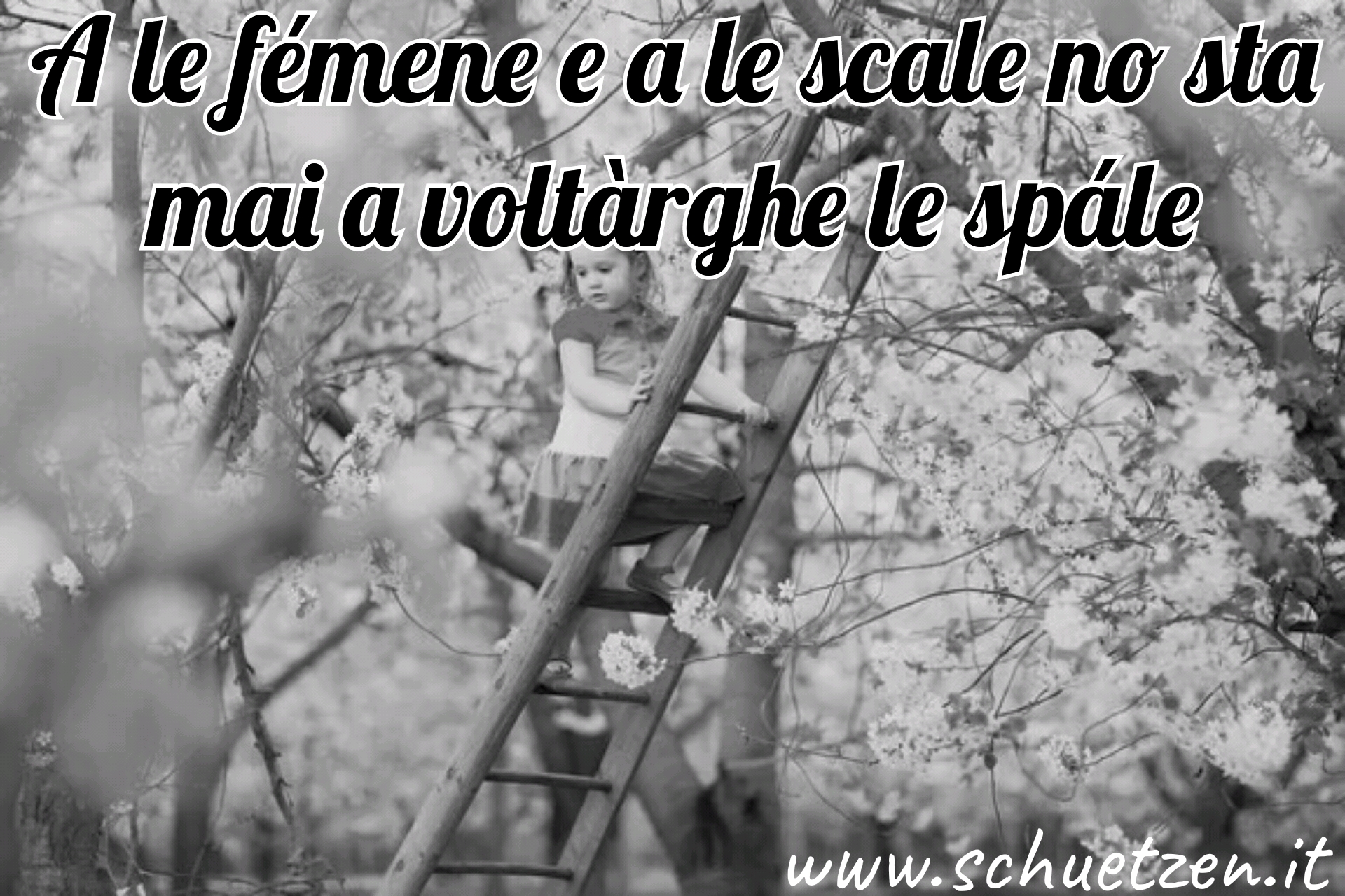 Donne & scale