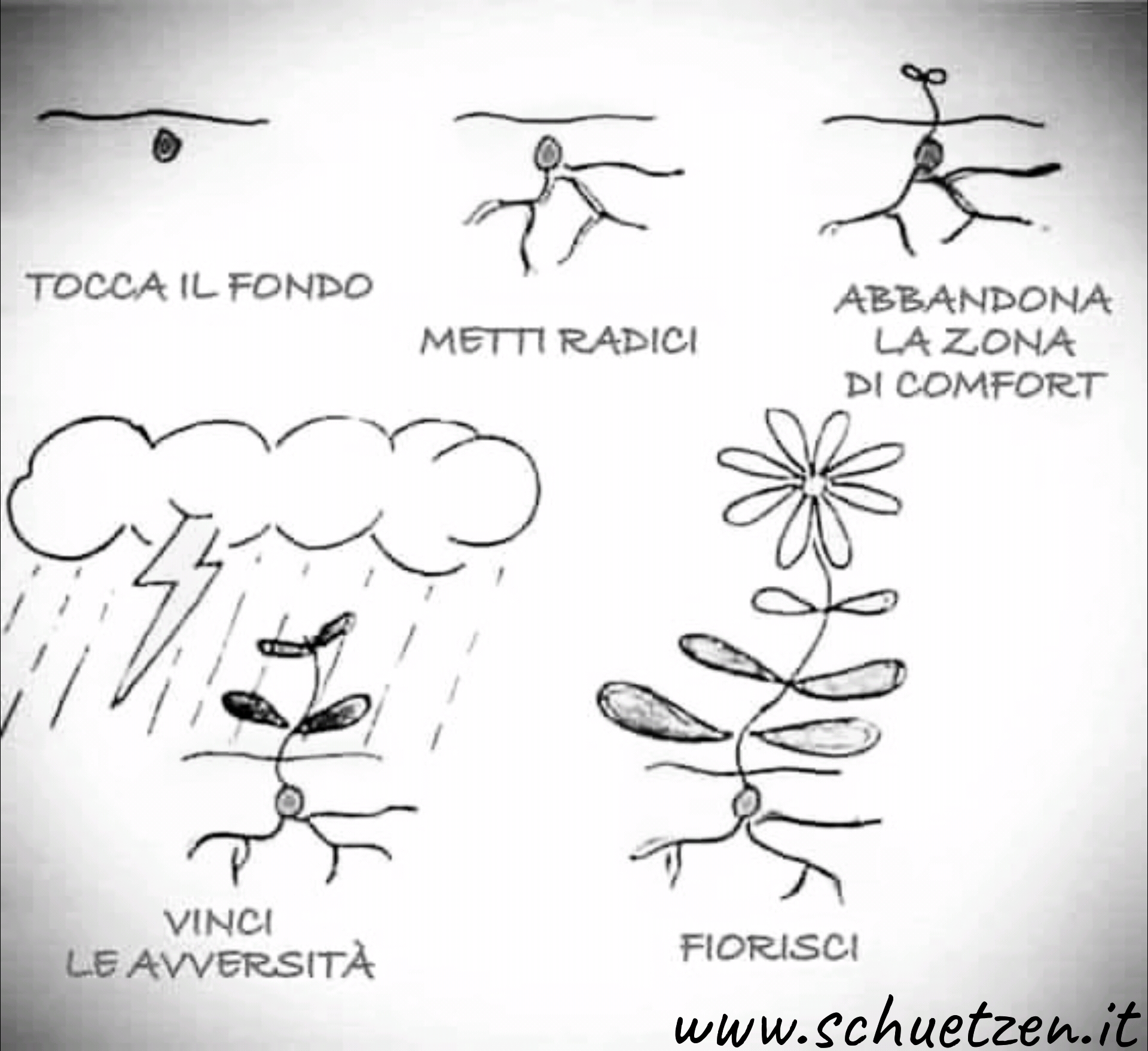 Guai cedere