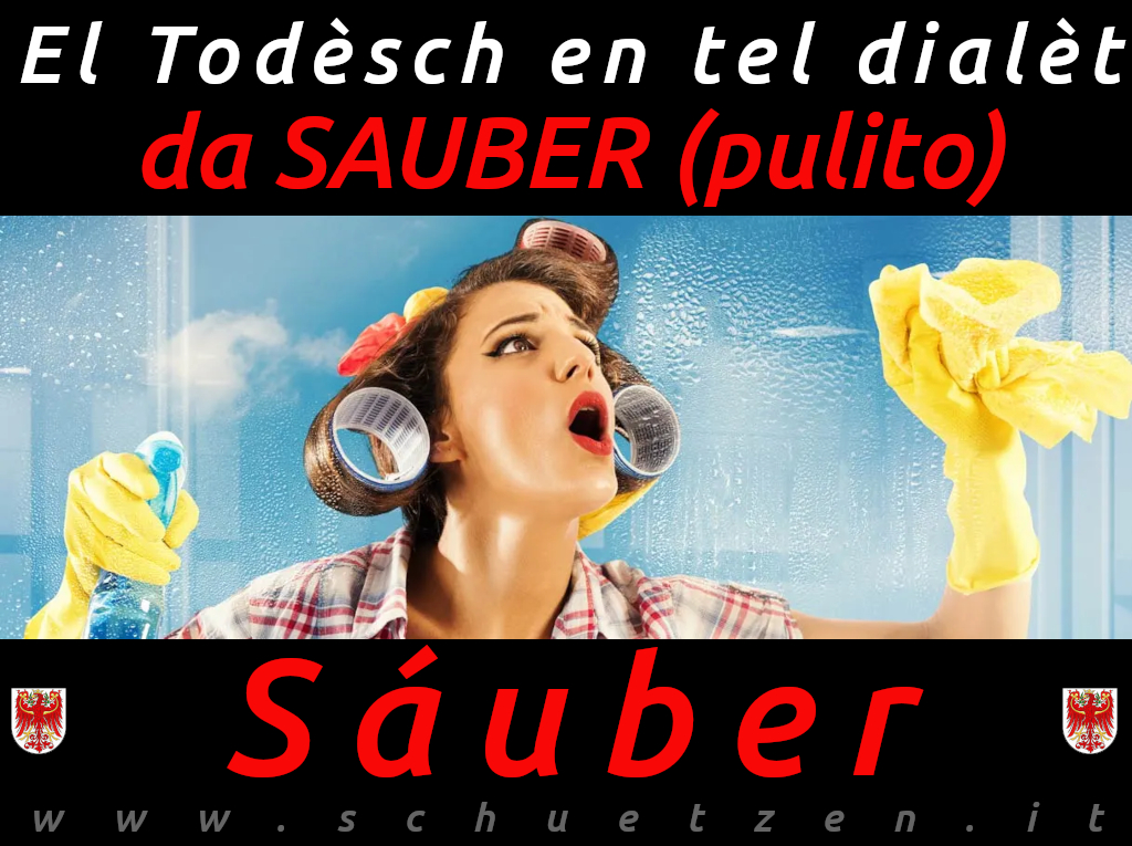 Sauber