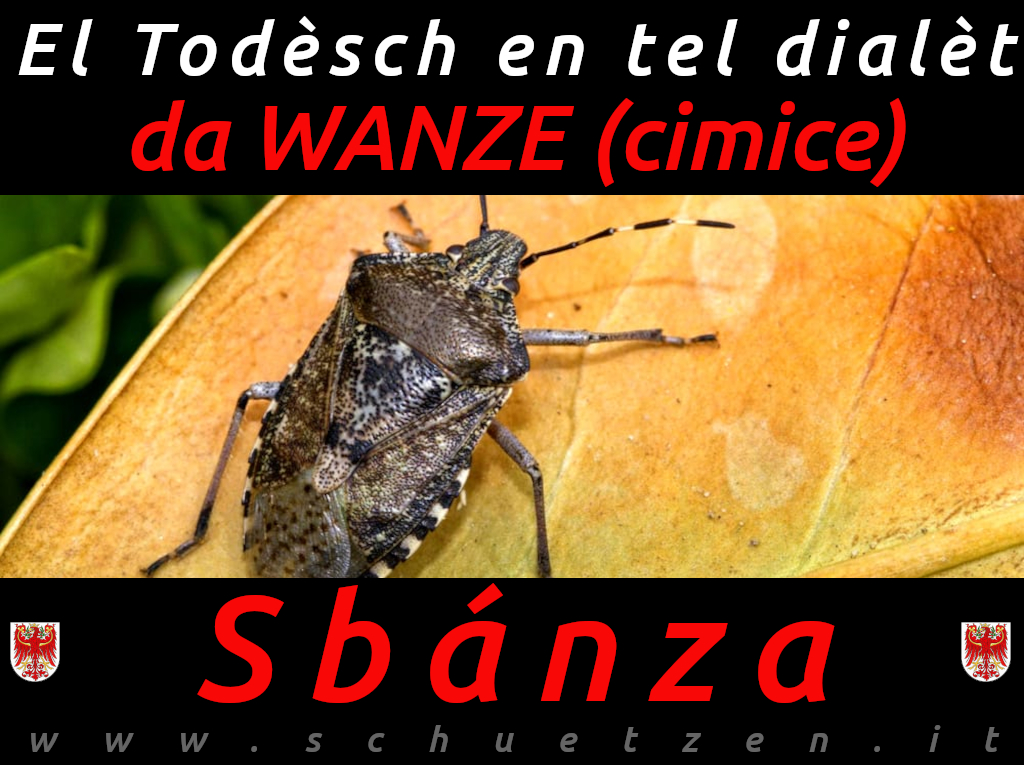 Sbanza