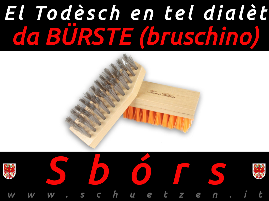 Sbórs