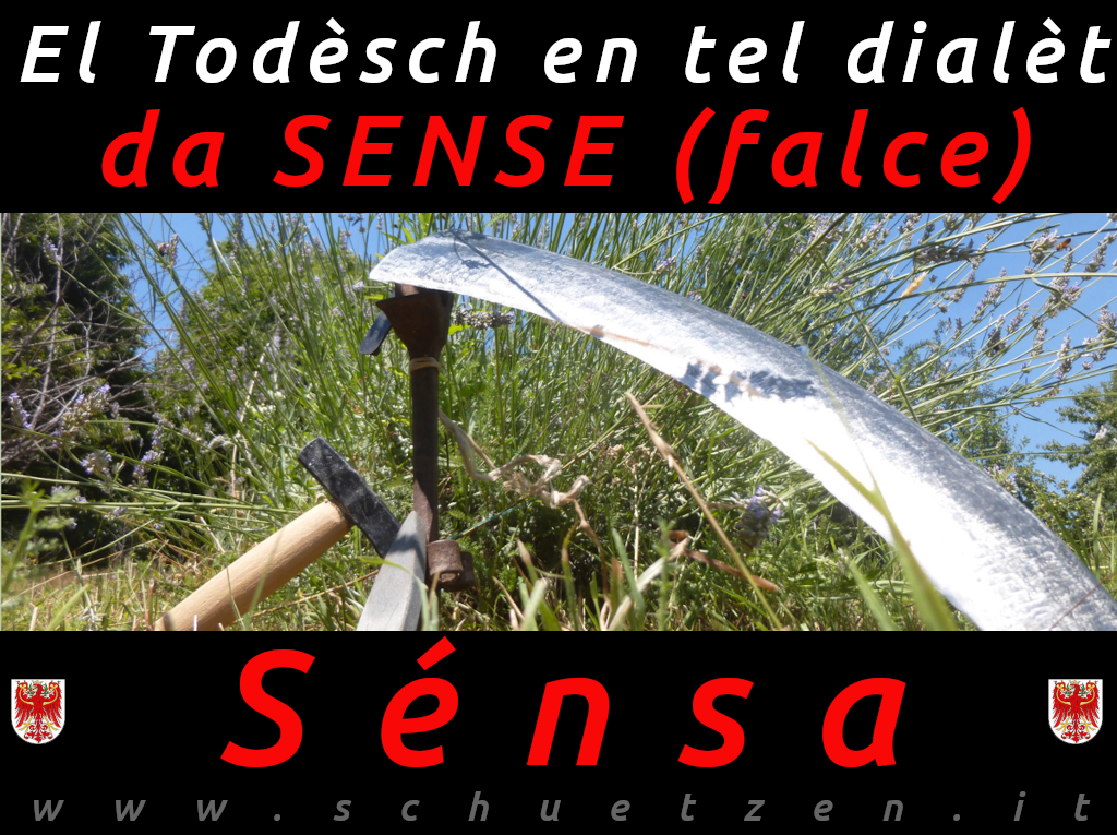 Sénsa
