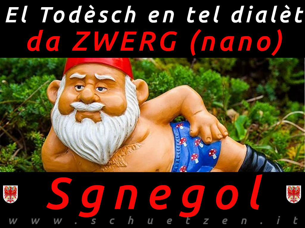 Snegol