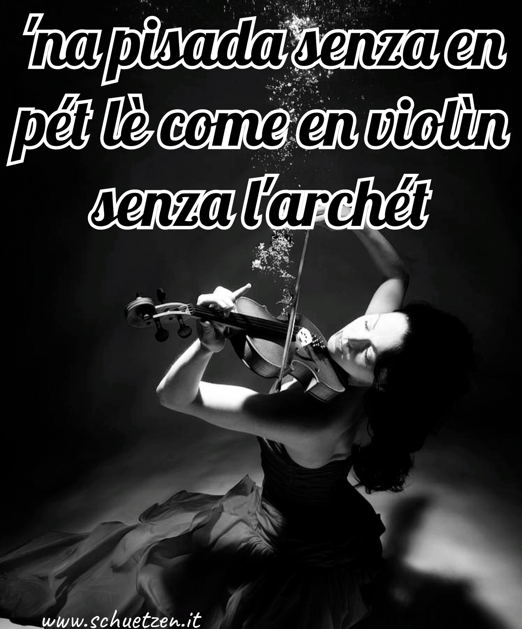 Violino & archetto