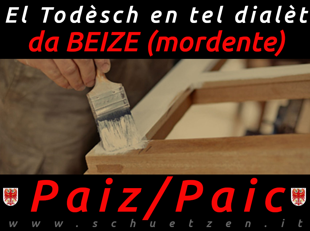 Paiz / Paic