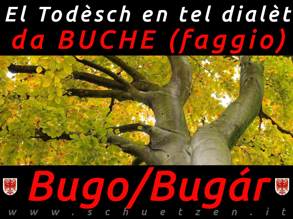 Bugo/Bugár