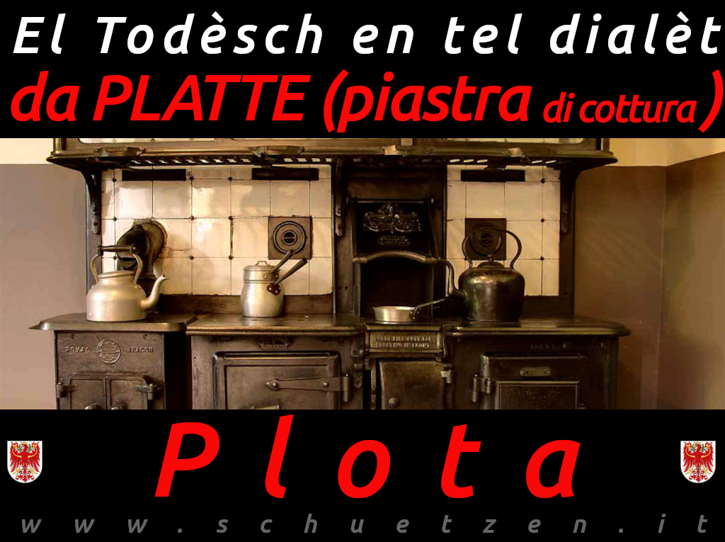 Plota