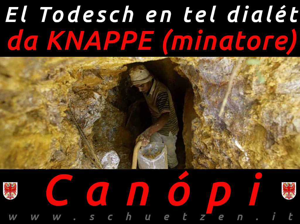 Canópi