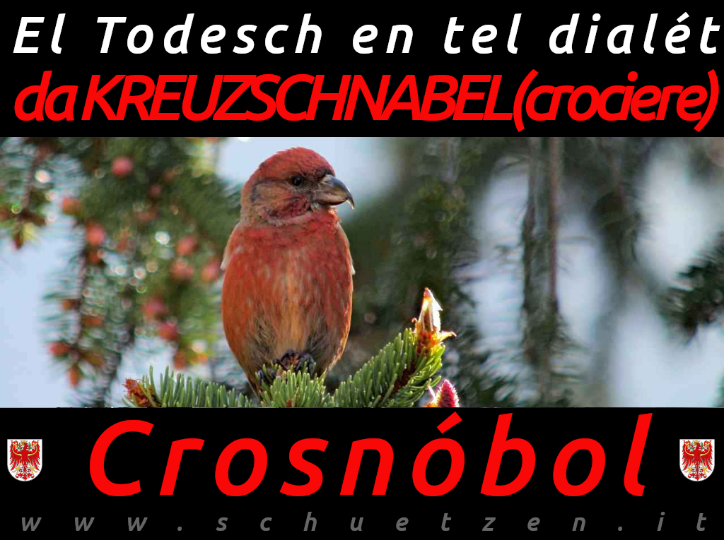 Crosnóbol