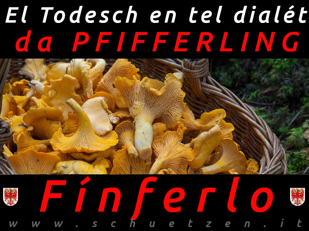 Fínferlo