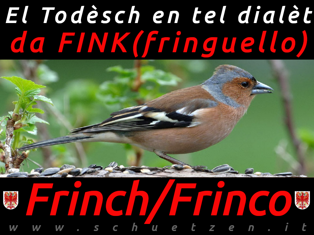 Frinch/Frínco