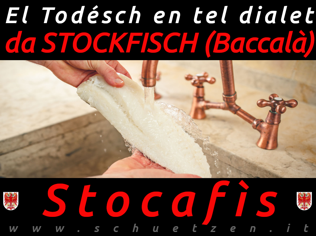 Stocafìs