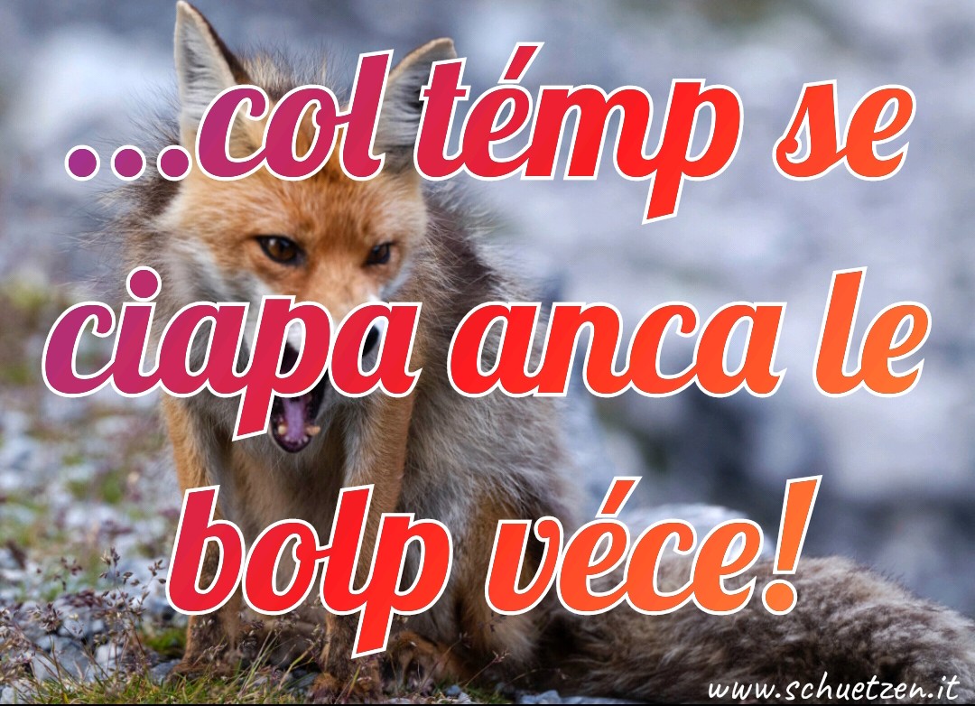 presto o tardi, vedrai caro…