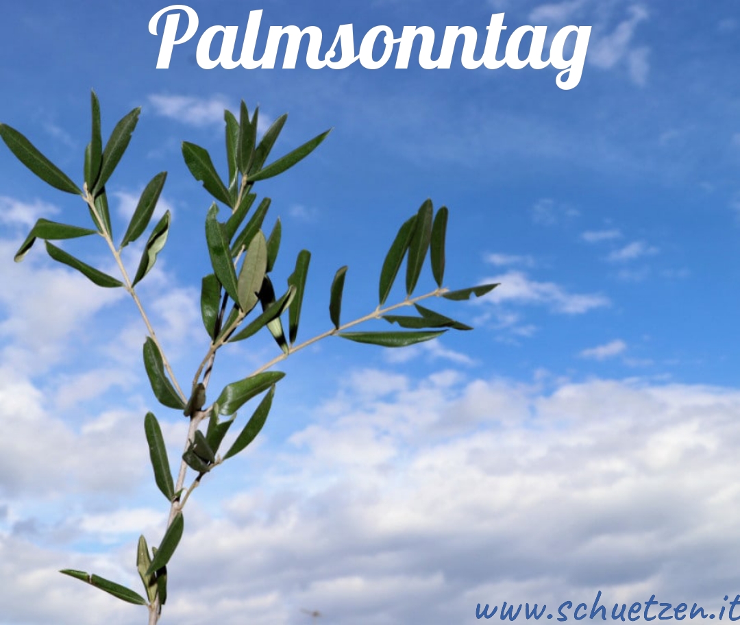 Palmsonntag- Domenica delle Palme