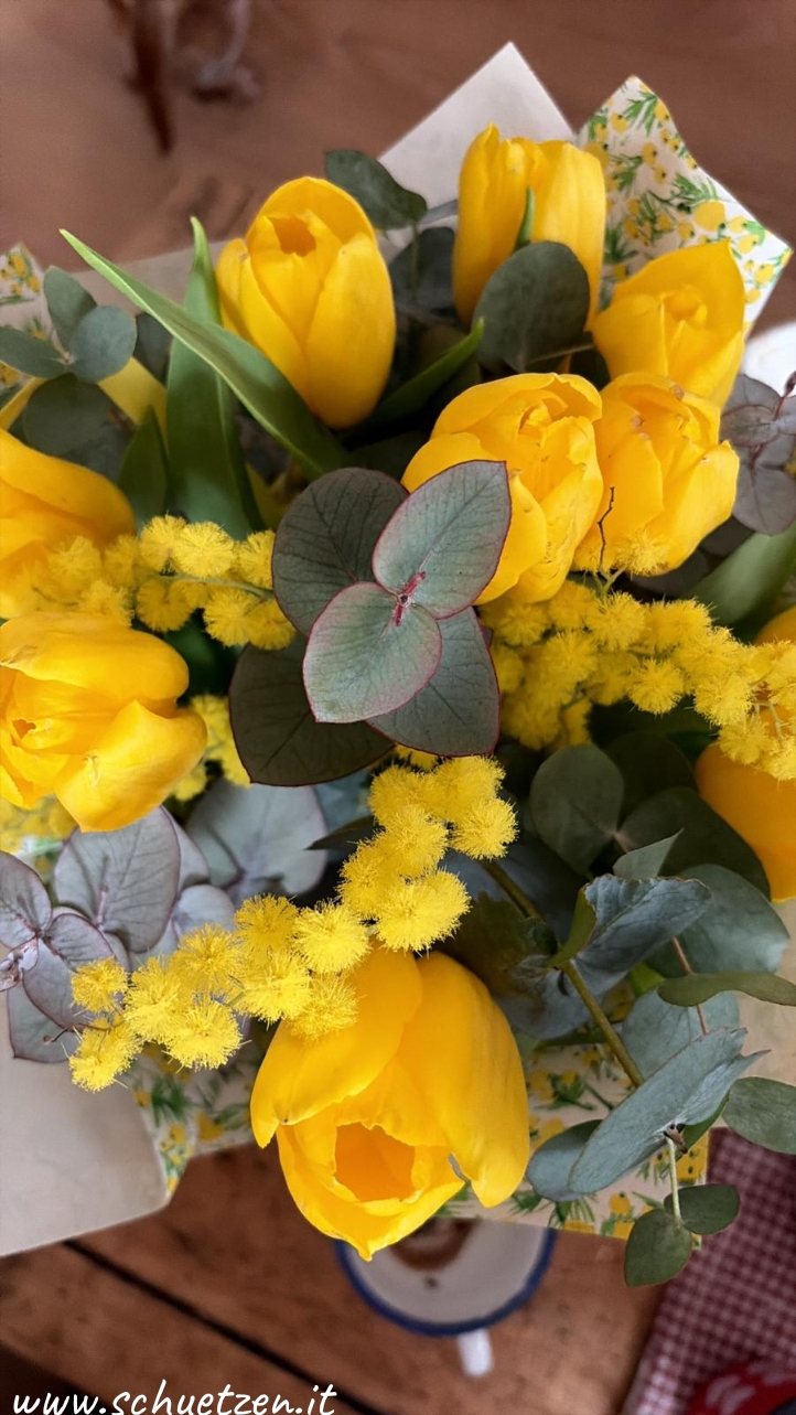 🌼 8 marzo – Festa della Donna 🌼