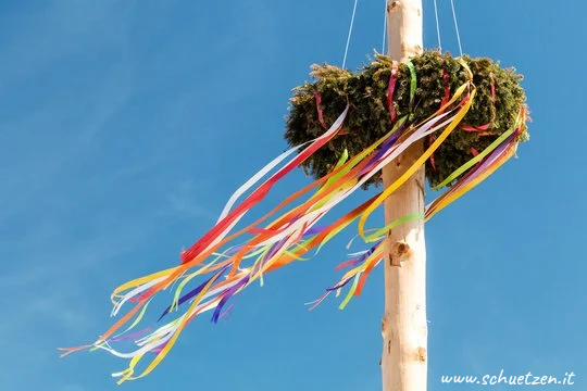 🌲 Maibaum 🌲
