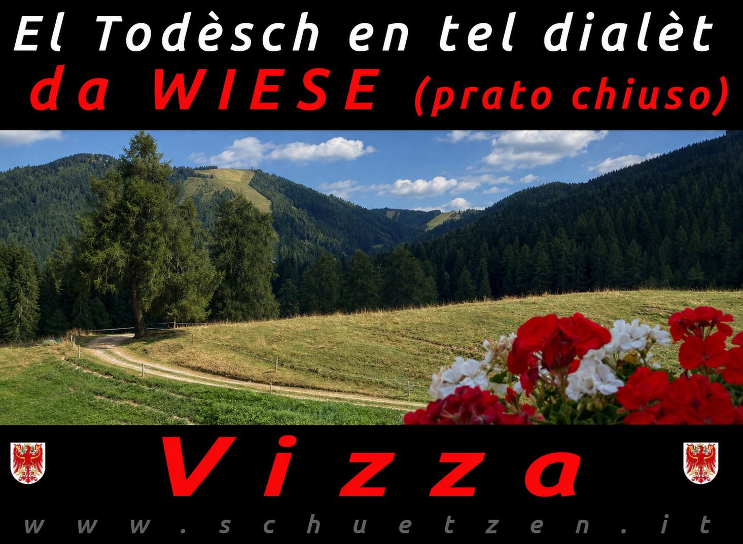 la Vizza